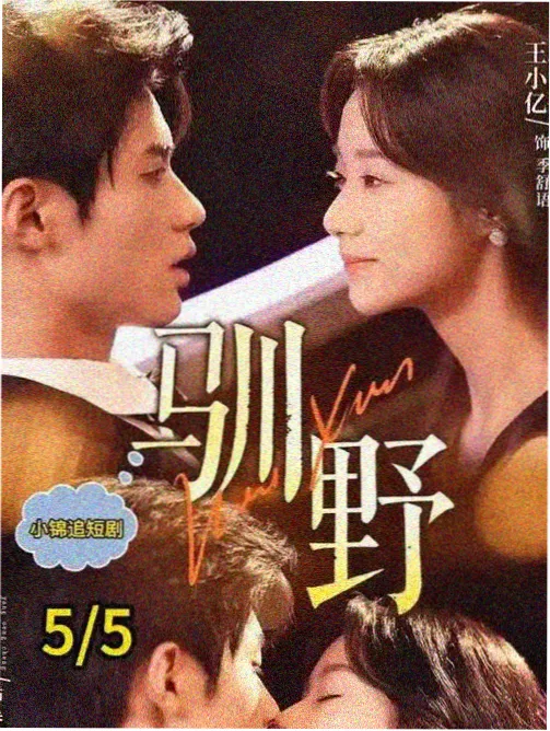 第七码头封面